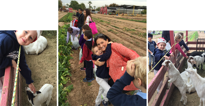 Farm Visit