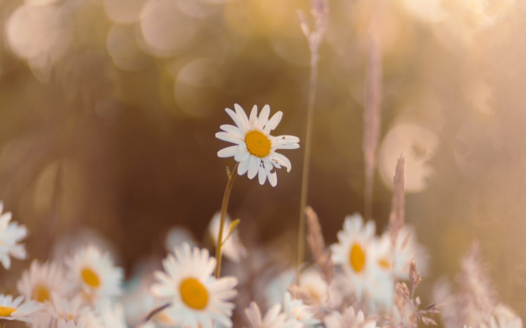 When a Challenging Moment Led to Renewal