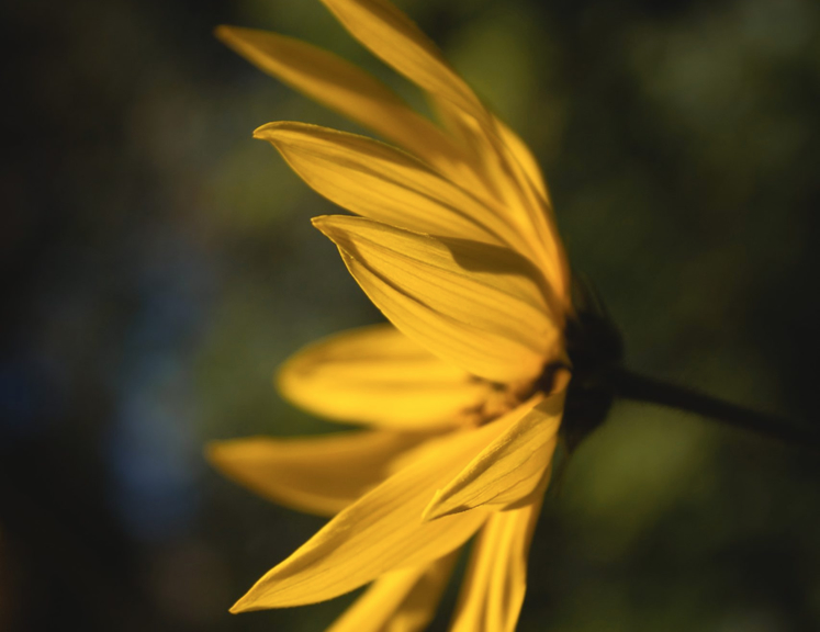 When a Challenging Moment Led to Renewal
