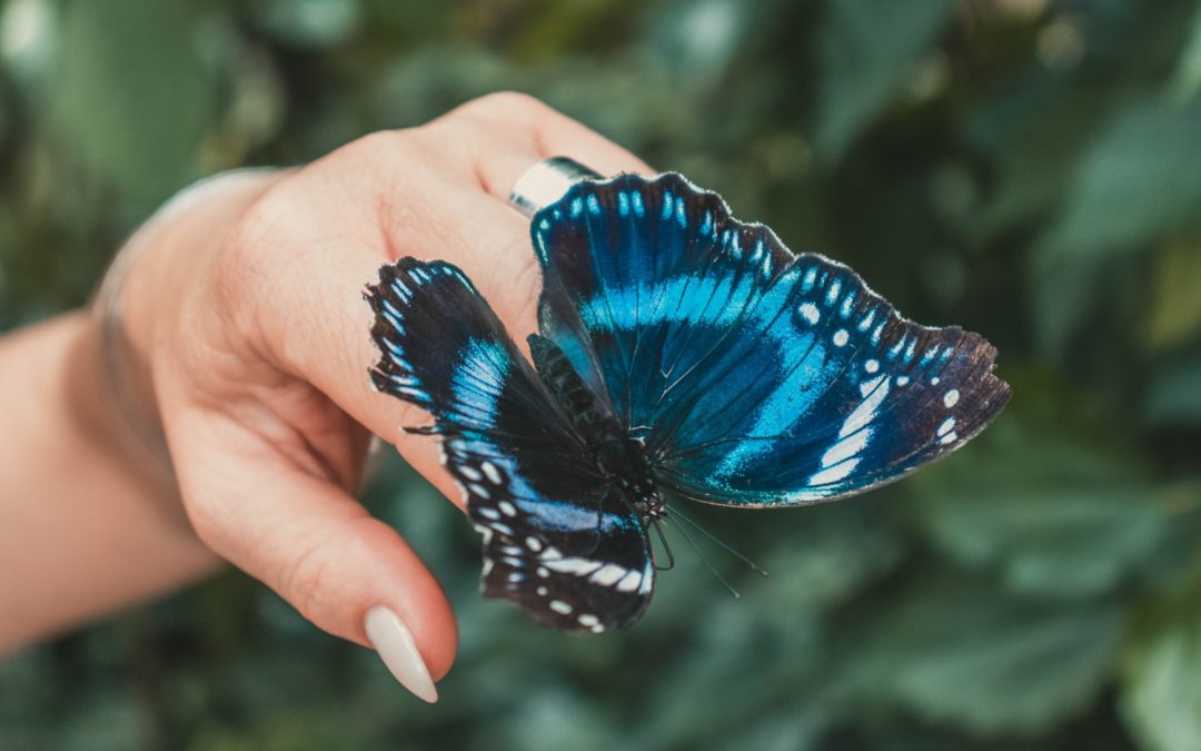 3 Ways for Being Vulnerable & Gentle With Your Heart’s Desire, to Bring It Closer to Coming True